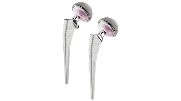 Hip Prosthesis