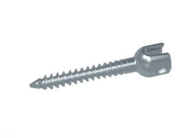 Monoaxial Pedicle Screw