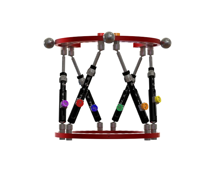 Bone Transport External Fixators