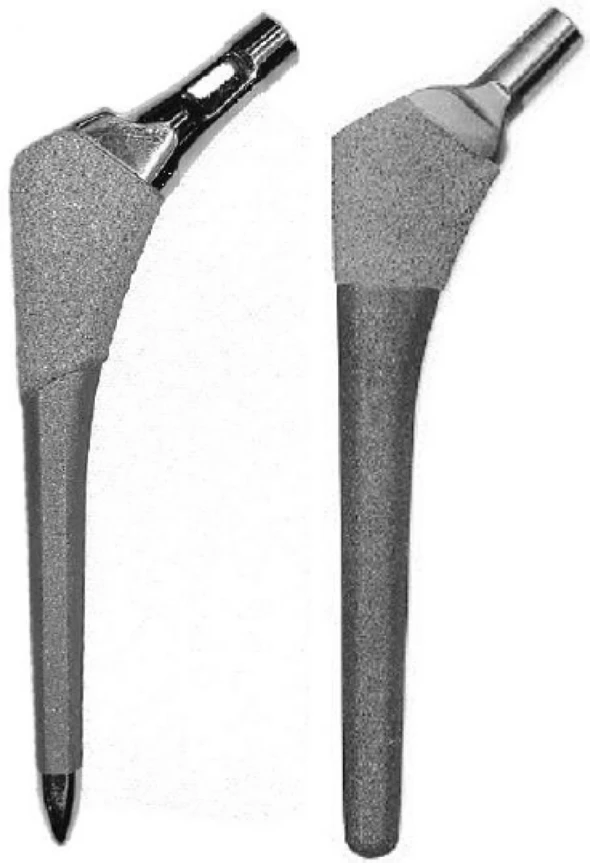 Femoral Stem Implants