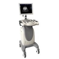12.1-inch Portable Black-and-white Ultrasound