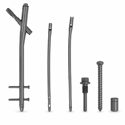 Femoral Intramedullary Nails